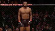 ufc 205 GIF
