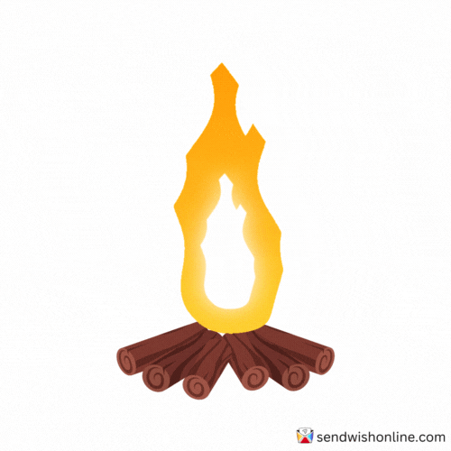 Burning On Fire GIF by sendwishonline.com