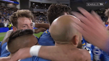 Soccer Futbol GIF by Brighton & Hove Albion Football Club