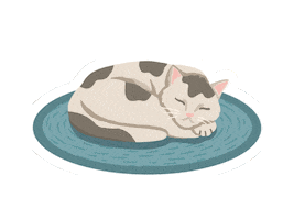 Cat Kitten Sticker by SMU People for Animal Welfare