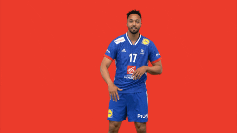 Ffhandball GIF by Fédération Française de Handball