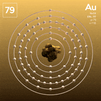 Money Gold GIF by xponentialdesign