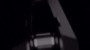 Cardo GIF