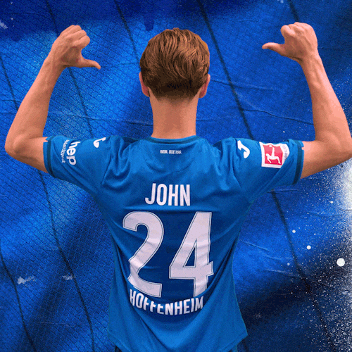 Sport Bundesliga GIF by TSG Hoffenheim