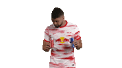 Red Bull Football Sticker by RB Leipzig