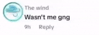 Wasnt Me Must Have GIF