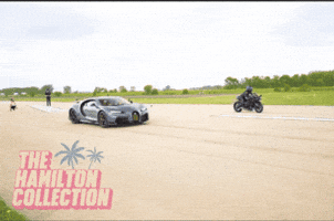 Chiron GIF by TheHamiltonCollection
