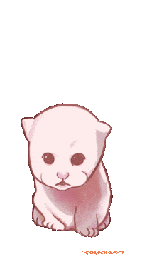 Cat Lady Sticker