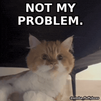 simbafluffyboss reaction gif funny cat funny animals unbothered GIF