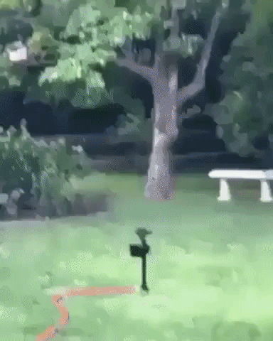 skynet has arrived GIF