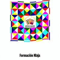 Pais Vasco Bandera GIF by Formación Ninja