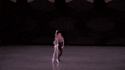 Sufjan Stevens Dance GIF by New York City Ballet