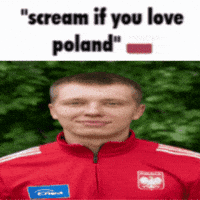 thepolishcoach scream poland scream if you love scream if you love poland GIF