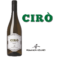 romanoeadamo wine vino ciro romano adamo Sticker