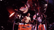 GIF by blink-182