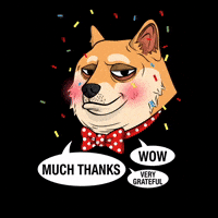Shiba Inu Wow GIF by Doge Pound