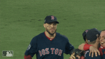 World Series Sport GIF by MLB