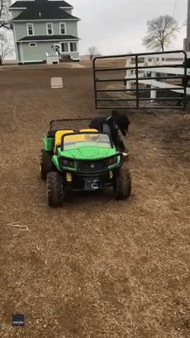 Little Boy Uses Toy Truck to Give Horse Trainer a Helping Hand