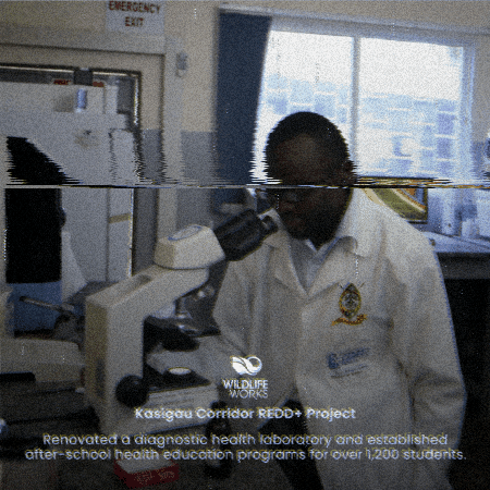wildlifeworks giphygifmaker giphyattribution wildlife works GIF