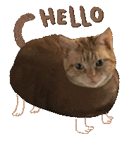 Dance Hello Sticker