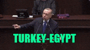 Turkey Egypt GIF by TV7 ISRAEL NEWS