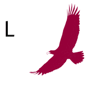 Heart Love Sticker by pipikwan pêhtâkwan