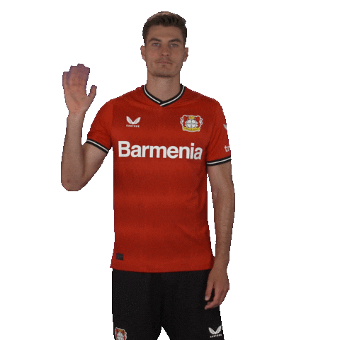 See You Goodbye Sticker by Bayer 04 Leverkusen