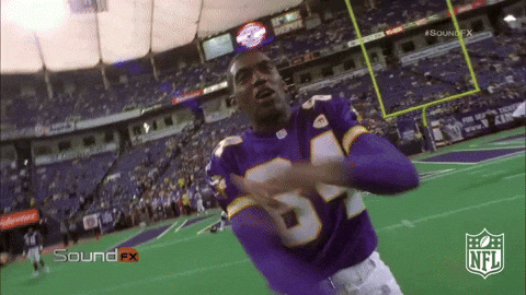 Minnesota Vikings Football GIF by NFL