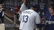 los angeles dodgers GIF by MLB