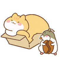 Happy Fun Sticker by catgrass