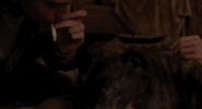 stellas last weekend GIF by The Orchard Films