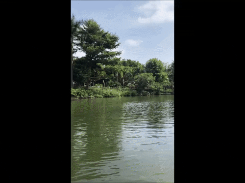 lesleywake giphygifmaker GIF