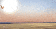 the bachelor virgin hunk GIF by Saturday Night Live