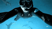 video images GIF