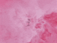 Uma Numberi GIF