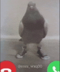 Phone Call GIF