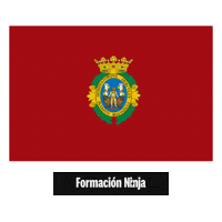 Flag Pixel Art Sticker by Formación Ninja