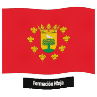 Bandera Andalucia Sticker by Formación Ninja
