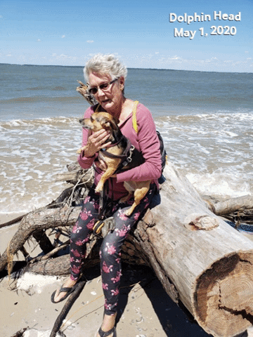 dem29910 giphygifmaker GIF