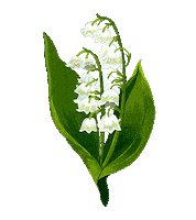 Happy True North Sticker by Caroline Spence