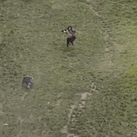 Cheese Rolling GIF by Respective