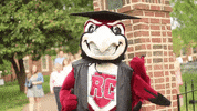 happy fun GIF by Roanoke College