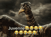 Son Godzilla GIF