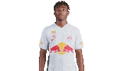 Football Sport Sticker by FC Red Bull Salzburg