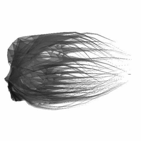 submission GIF by The Savannah .GIF Festival