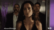 Usa Network Television GIF by Queen of the South