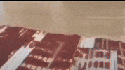 New York Mets GIF