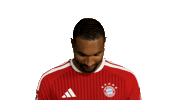 Look Up Fc Bayern Sticker by Bundesliga