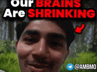 Our Brains Are Shrinking GIF