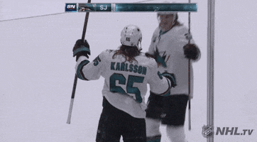 happy ice hockey GIF by NHL